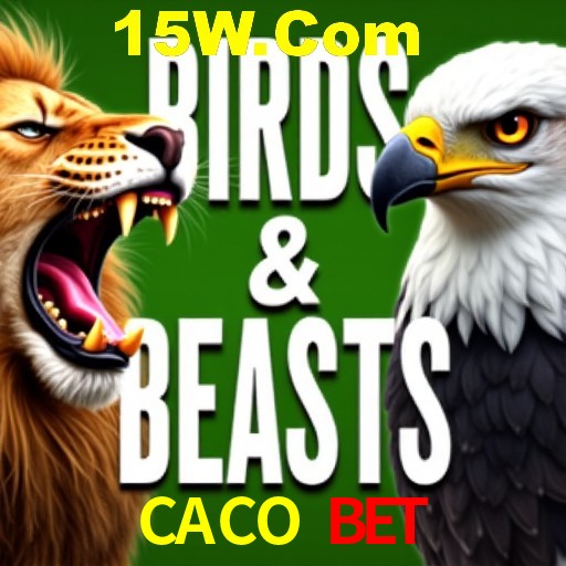 Apostas Esportivas na CACO BET: Um Guia Completo